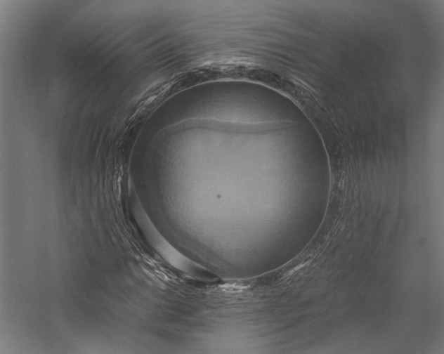 X0000057041014200509231441