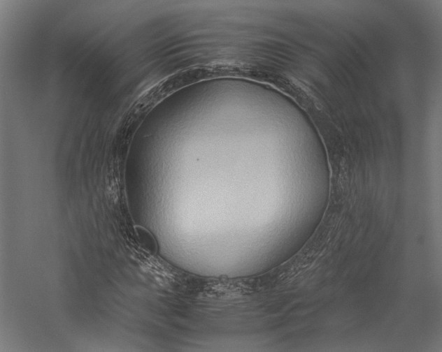X0000057041015200509231441