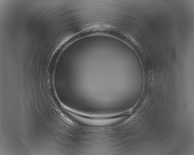 X0000057041018200509231441