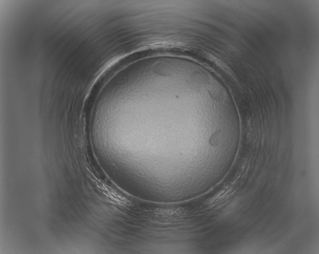 X0000057041021200509231441