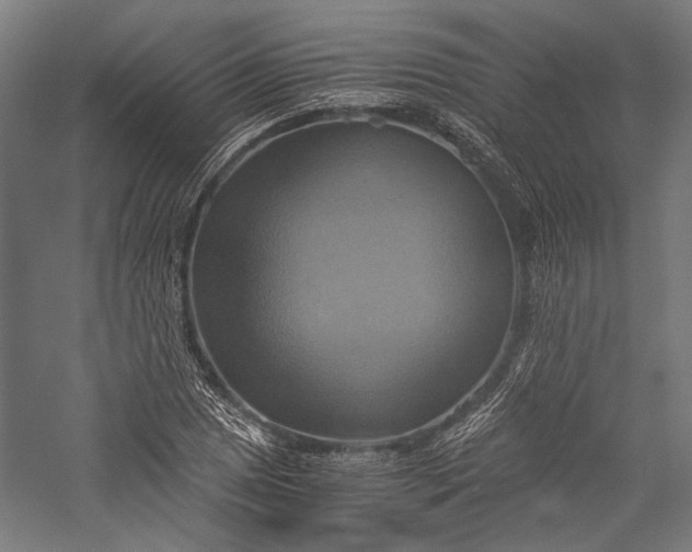 X0000057041025200509231441