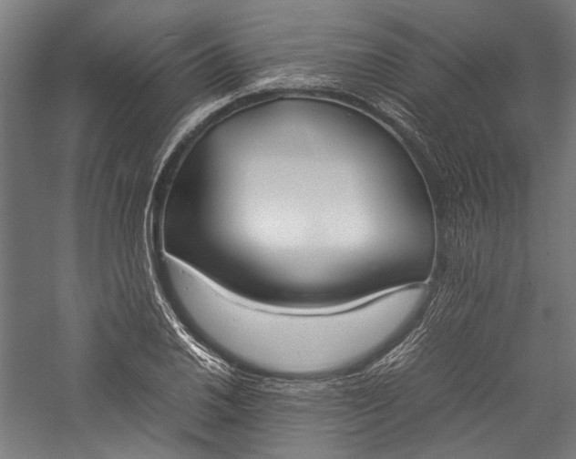 X0000057041030200509231441
