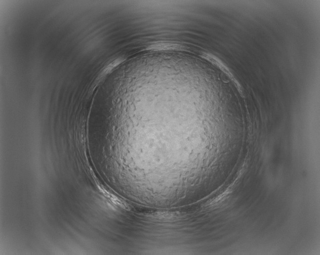 X0000057041049200509231442
