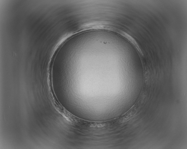 X0000057041051200509231442