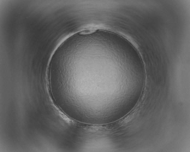 X0000057041056200509231442