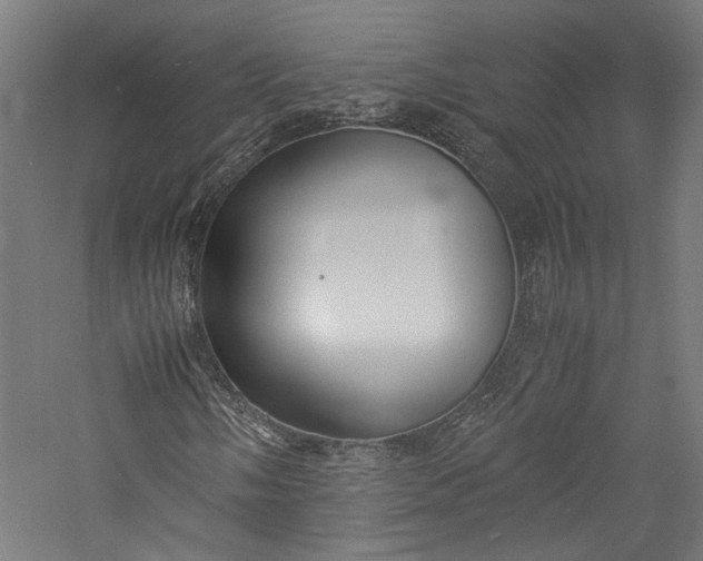 X0000057041058200509231441