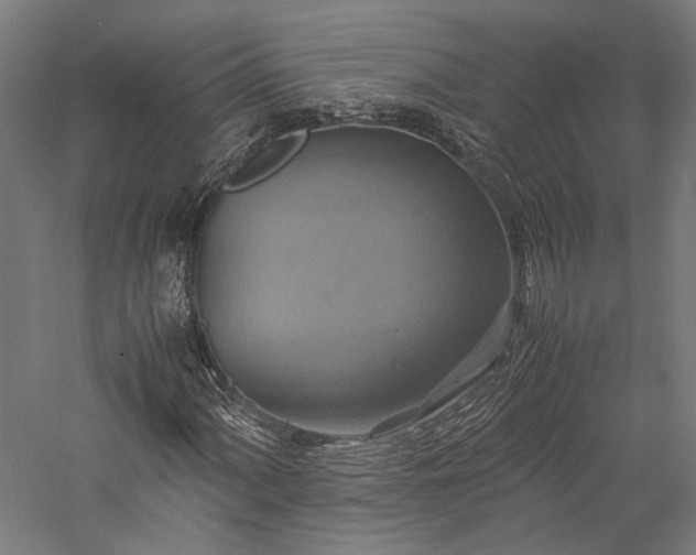 X0000057041060200509231441