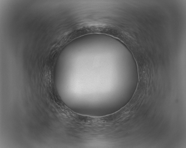 X0000057041061200509231441