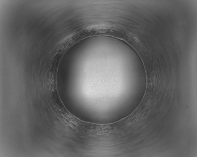 X0000057041062200509231441
