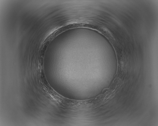 X0000057041064200509231441