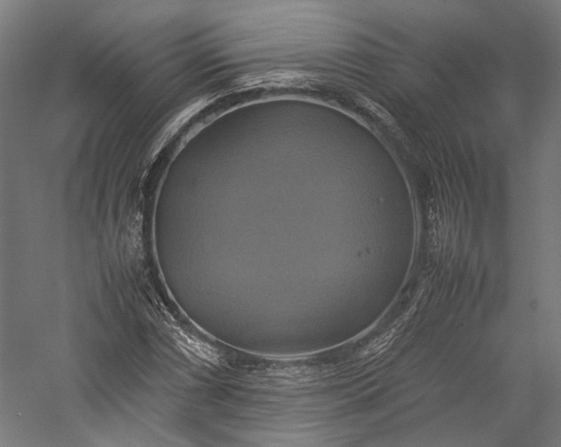 X0000057041066200509231441