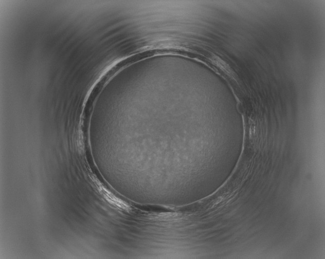 X0000057041068200509231441