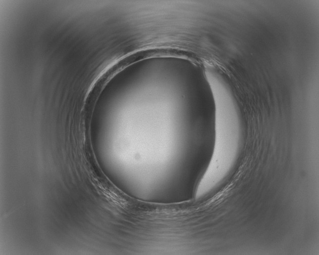X0000057041069200509231441