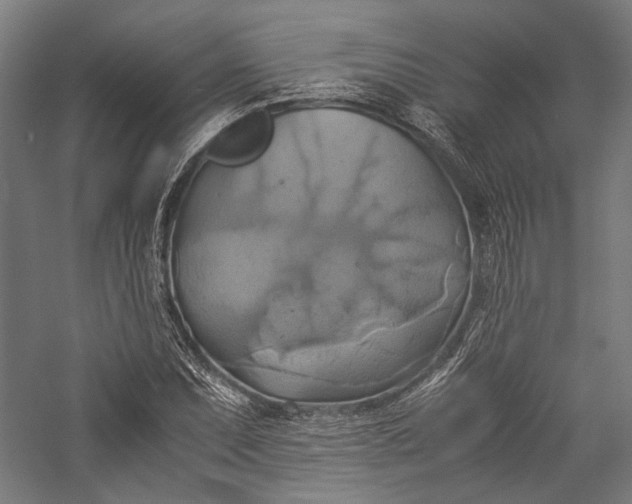 X0000057041071200509231441