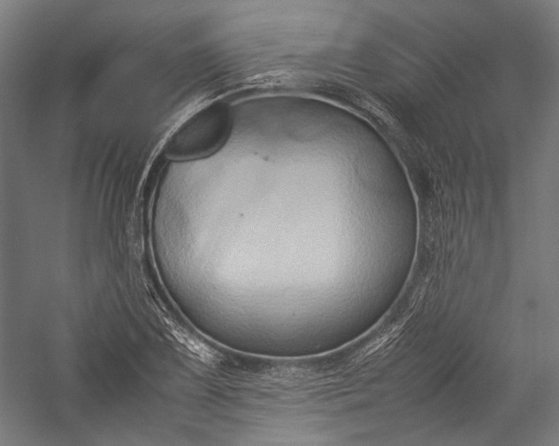 X0000057041075200509231441