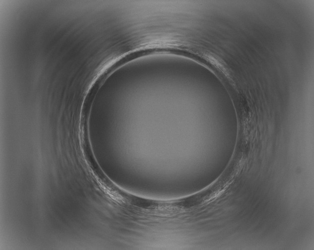 X0000057041077200509231441
