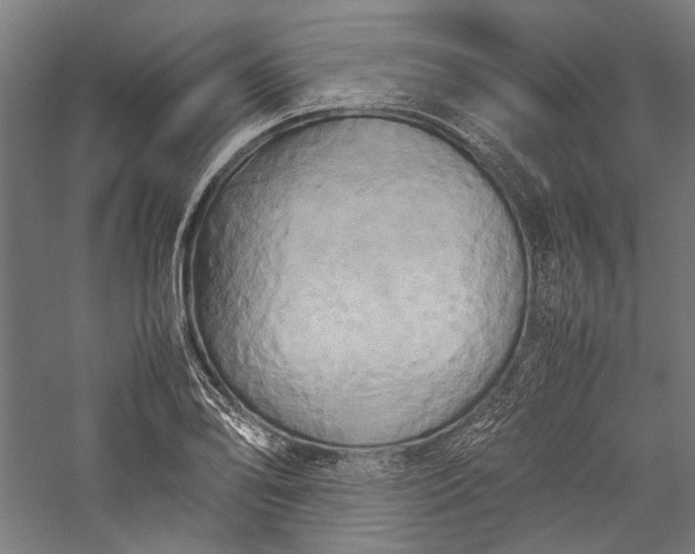 X0000057041078200509231441