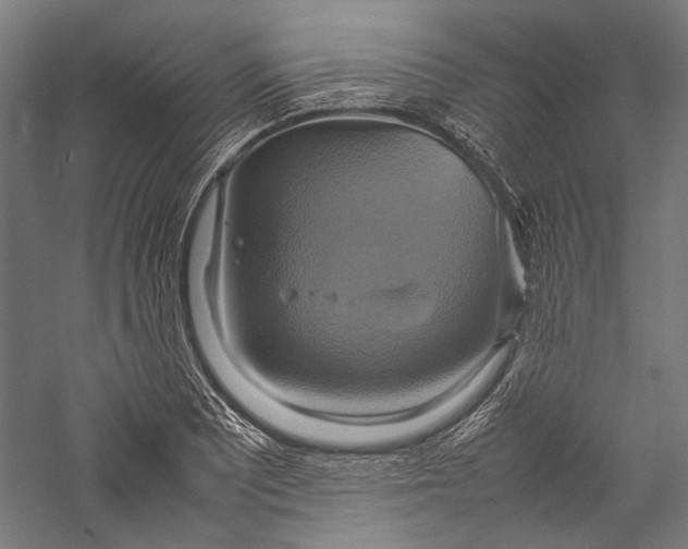 X0000057041081200509231441