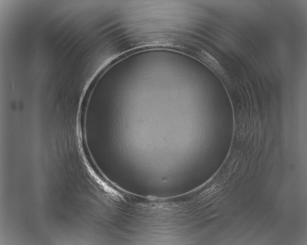X0000057041084200509231441