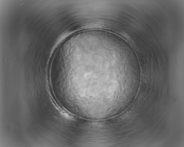 X0000057041086200509231441