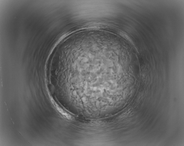 X0000057041091200509231441
