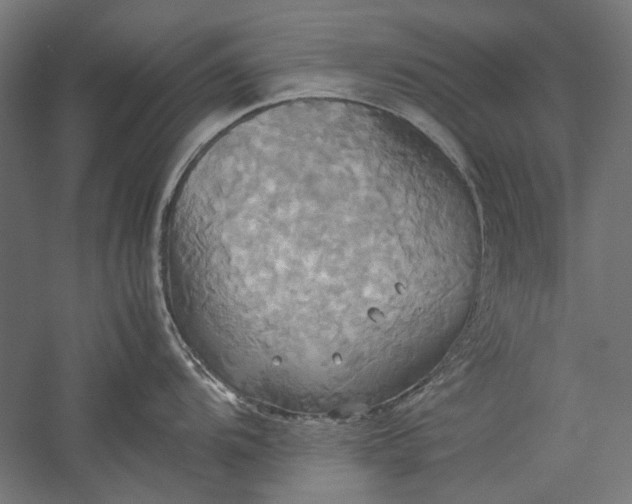X0000057041104200509231440