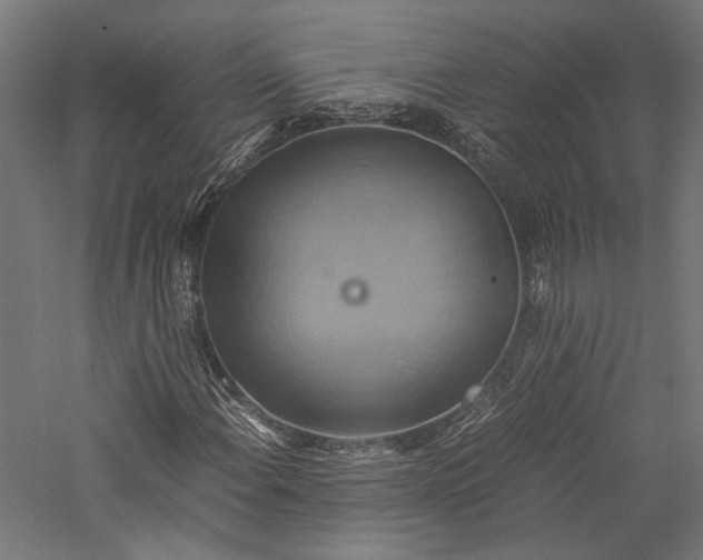 X0000057041108200509231440