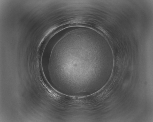 X0000057041115200509231440
