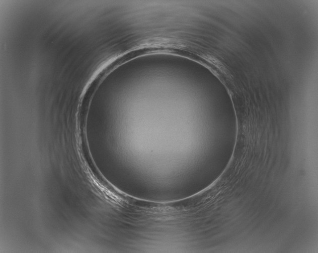 X0000057041120200509231440