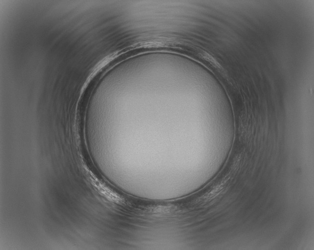 X0000057041122200509231440