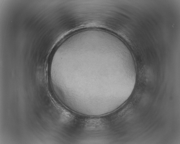 X0000057041126200509231440