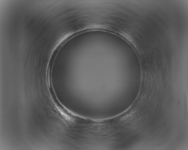 X0000057041127200509231440