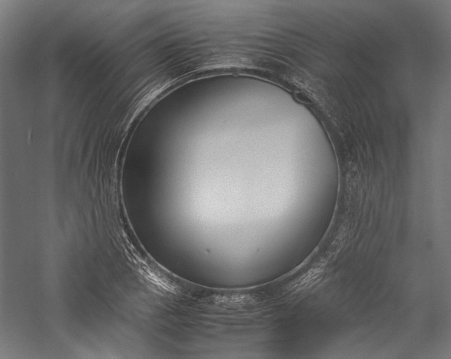 X0000057041129200509231440