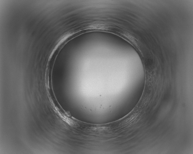 X0000057041131200509231440