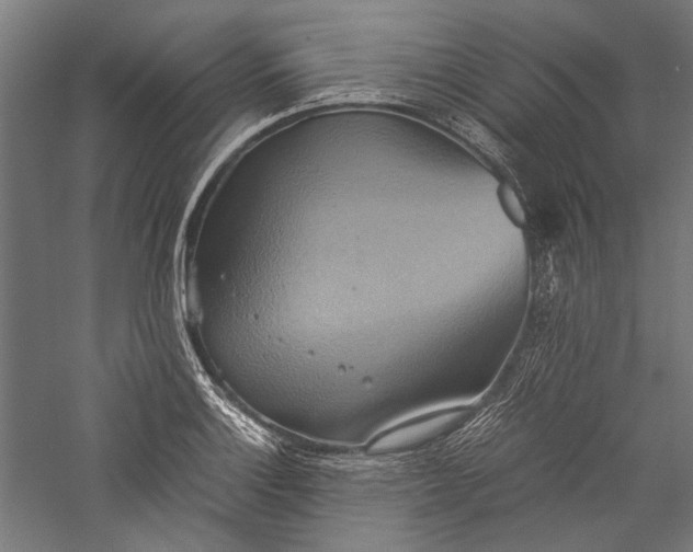 X0000057041132200509231440