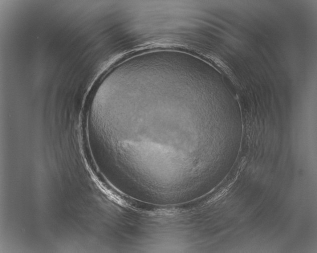 X0000057041134200509231440