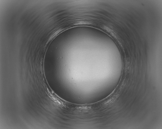 X0000057041137200509231440