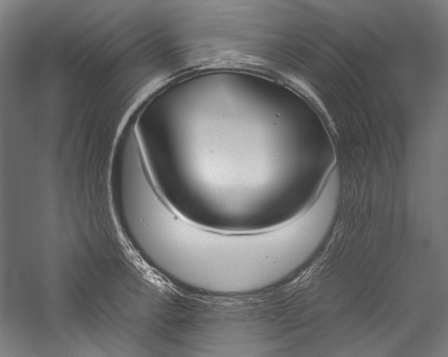 X0000057041138200509231440