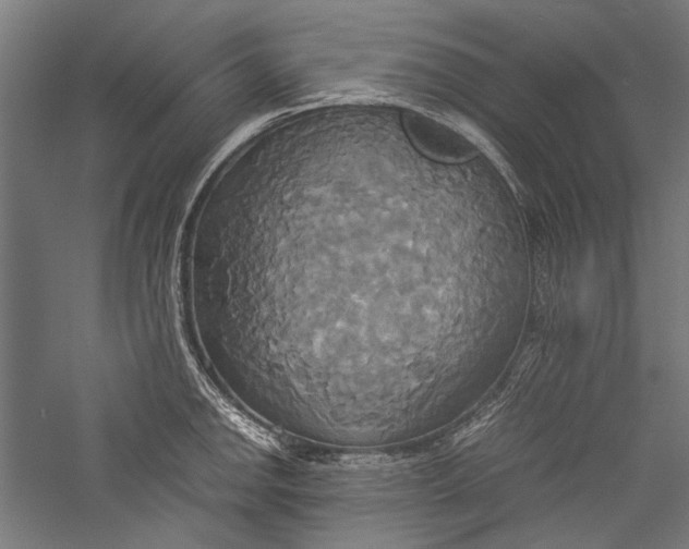 X0000057041142200509231440