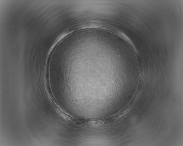 X0000057041146200509231440