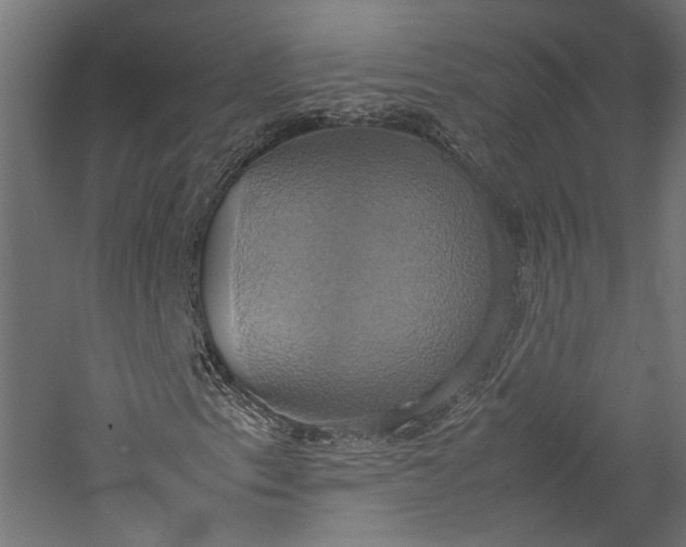 X0000057041153200509231439