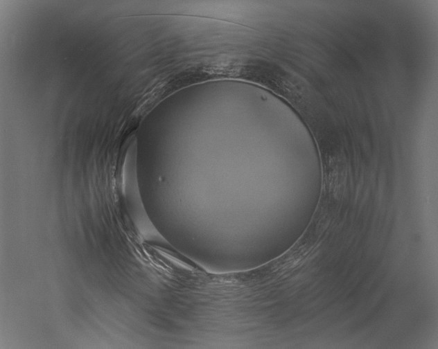X0000057041154200509231439