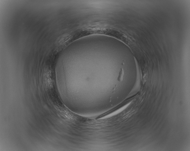 X0000057041156200509231439
