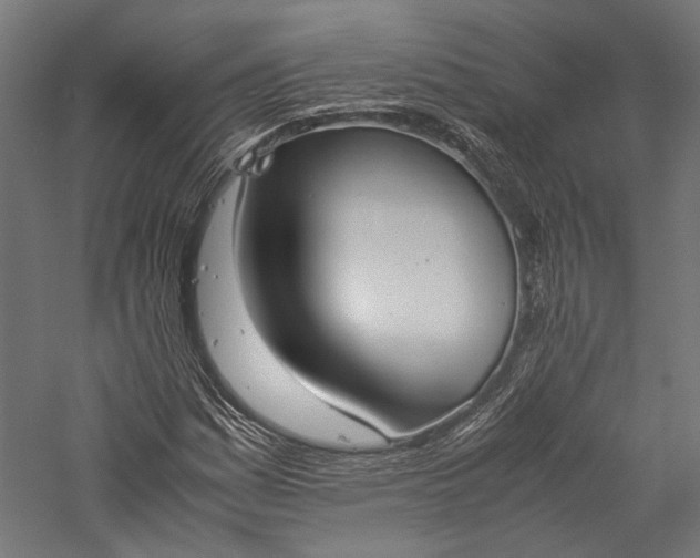 X0000057041161200509231439