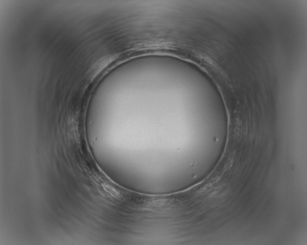 X0000057041162200509231439