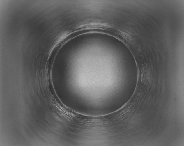 X0000057041164200509231439
