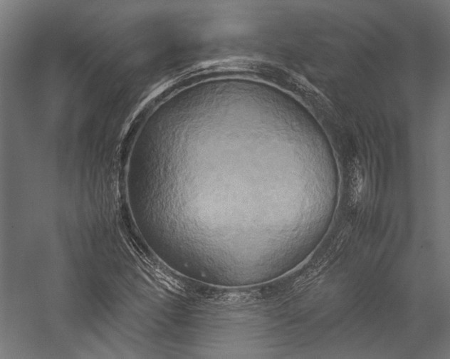 X0000057041166200509231439