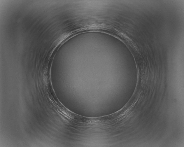 X0000057041170200509231439