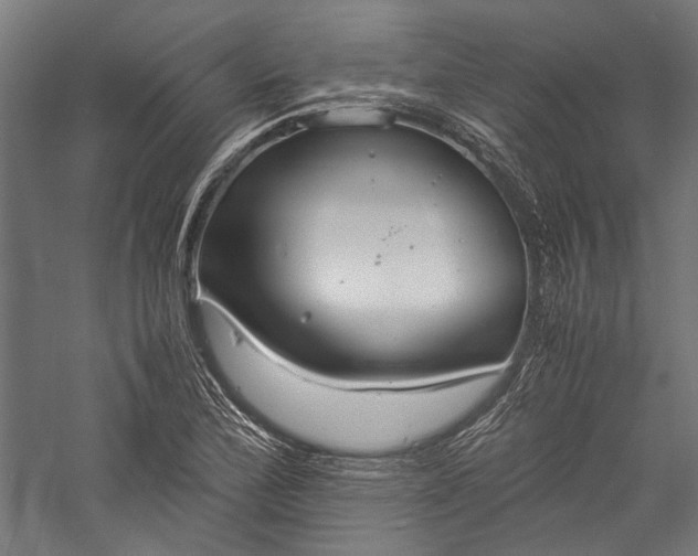 X0000057041172200509231439