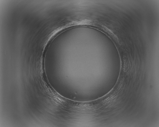 X0000057041174200509231439